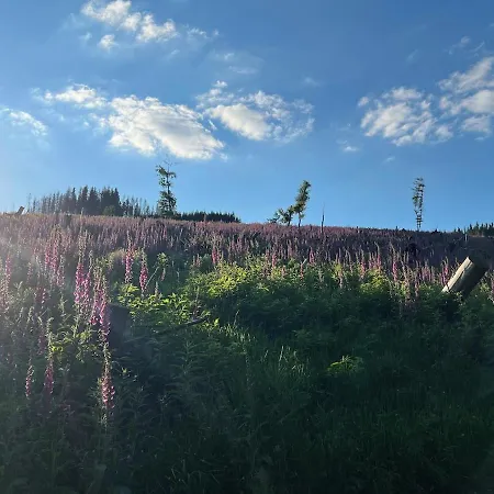 Renovierte Hasenbau Fuer Zwei In Winterberg